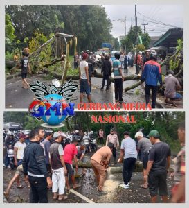 Respon Cepat Pohon Tumbang di Bungursari, Polisi Sigap Amankan Jalur dan Evakuasi