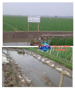 Minim Pengawasan Dinas Pertanian Karawang, Proyek Kementan Ratusan Juta Diduga Dikerjakan Asal-asalan