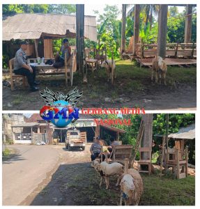 Jelang Iduladha, Bhabinkamtibmas Polsek Pasawahan Intensifkan Patroli Pedagang Hewan Kurban